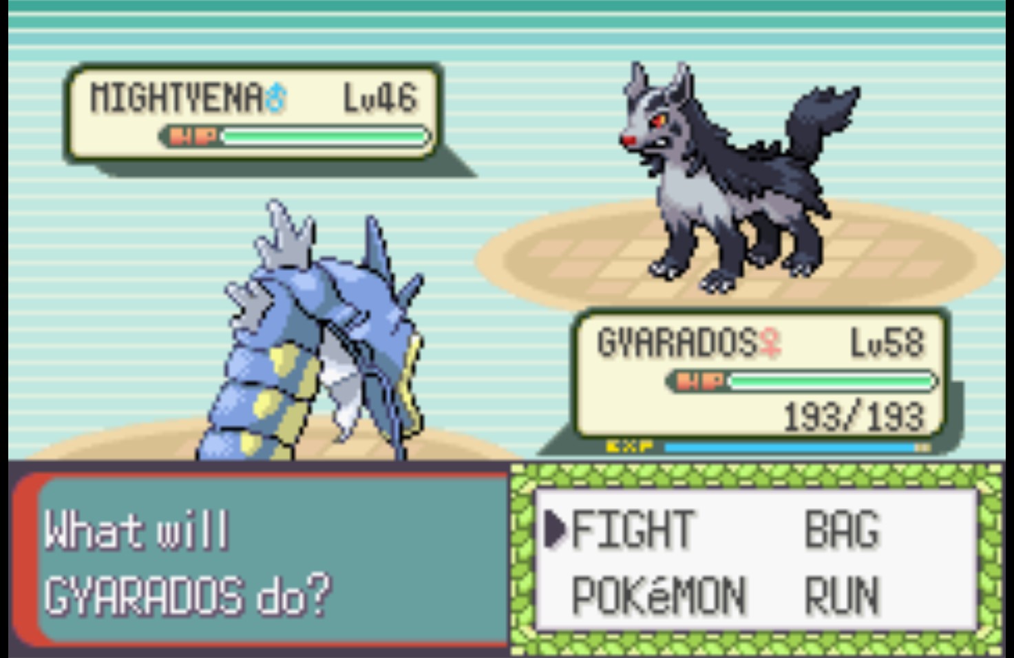 Μάχη Pokémon Gyarados εναντίον MIghtyena. Με καφέ και πράσινες λεπτομέρειες στο φόντο και την λεζάντα επιλογών στο κάτω μέρος της οθόνης
