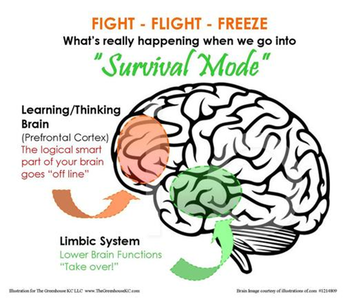 httpseyfs.infoarticles.htmlpersonal-social-and-emotional-developmentself-regulation-versus-self-isolation-your-role-in-building-families-resilience-r308