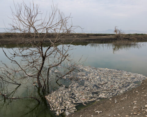 Λίμνη Κάρλα