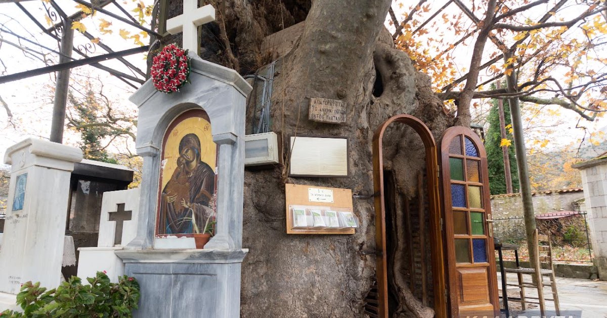 Δεντροεκκλησίες της Ελλάδας