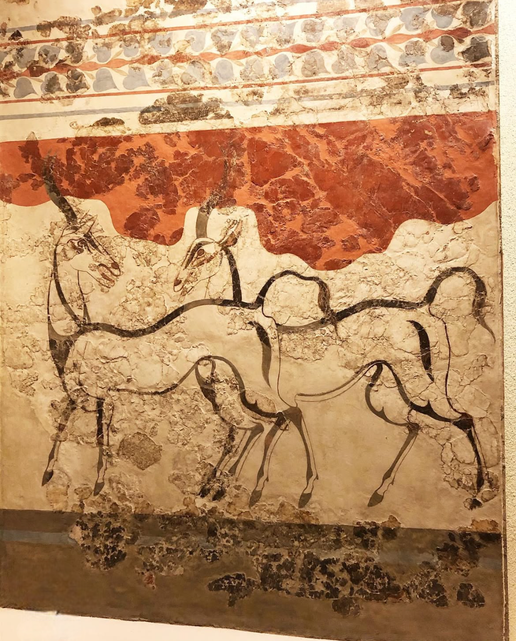 Μινωική τοιχογραφία με αντιλόπες ή γαζέλες από το Ακρωτήρι στη Θήρα. Πηγή: instagram.com/hellenistic history