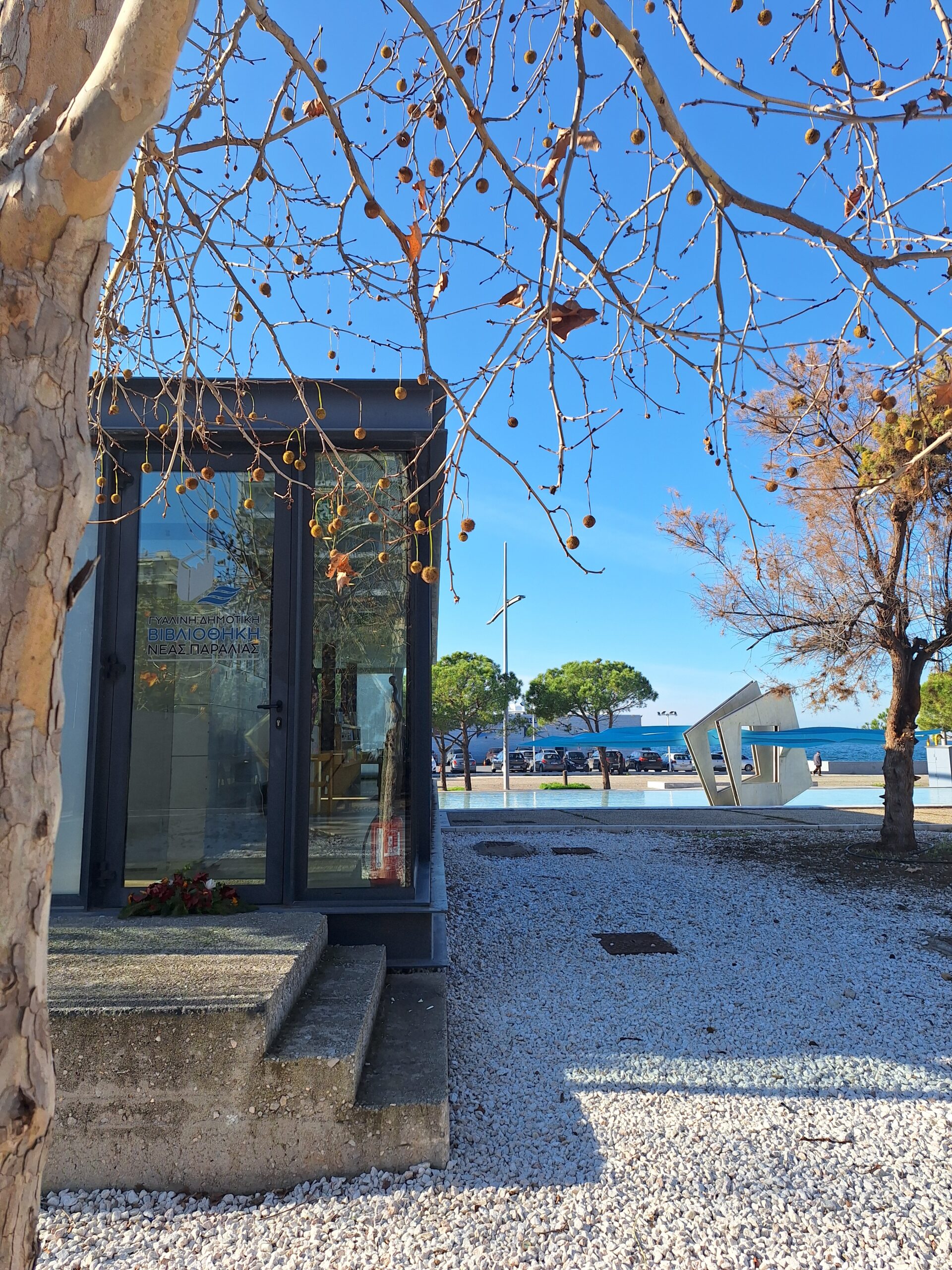 γυάλινη βιβλιοθήκη