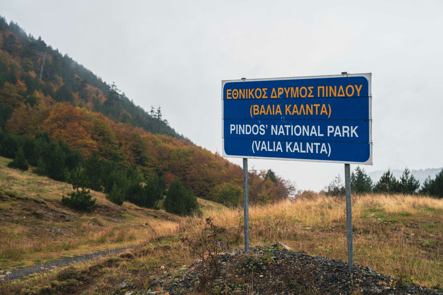 Εθνικός Δρυμός 