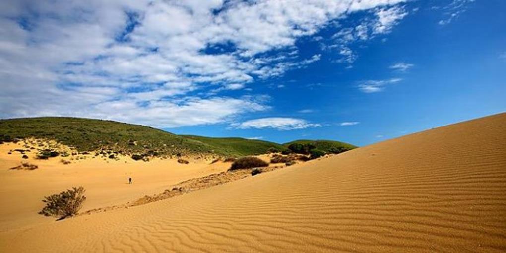 Η έρημος ως πηγή έμπνευσης χιλιάδων ετών