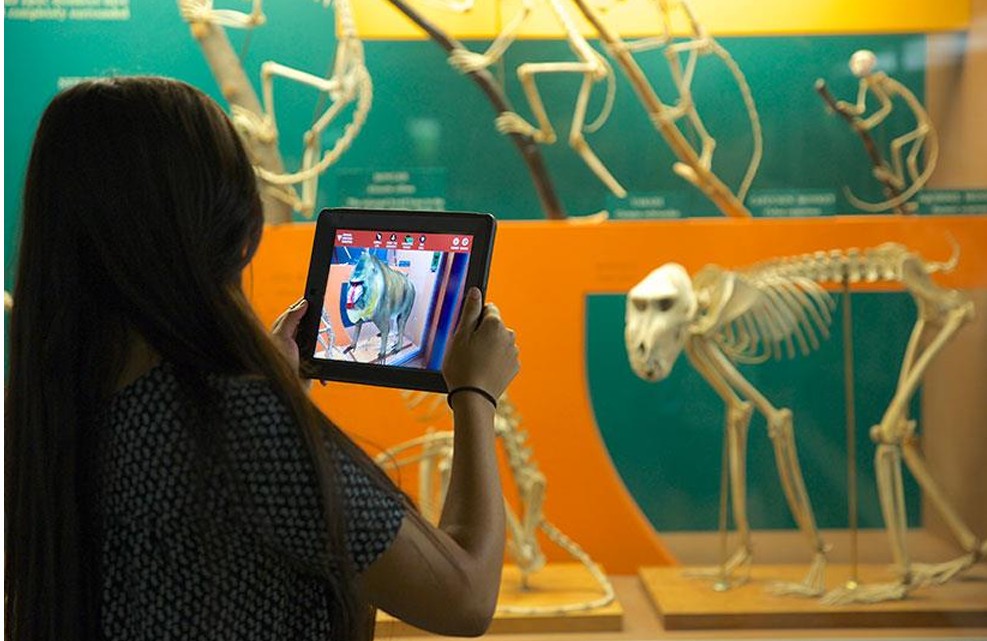 Επαυξημένη πραγματικότητα στην εκπαίδευση