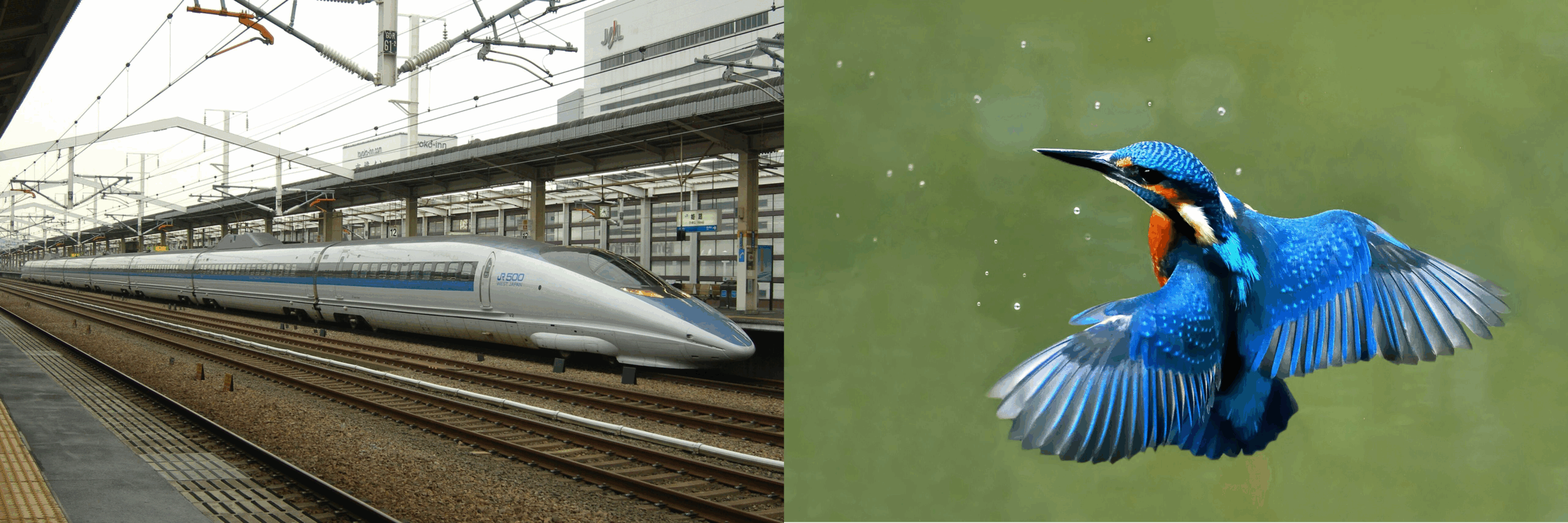 Το τρένο 500-Series Shinkansen και η κοινή Αλκυόνη