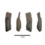 Μεγαλόπολη: Ανακάλυψη τω αρχαιότερων ξύλινων εργαλείων παγκοσμίως