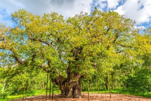 Από το Σέργουντ στο Άβαλον: η μυθική γεωγραφία της Βρετανίας