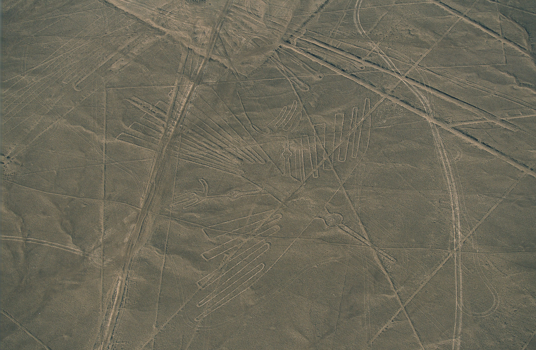 Γεωγλυφικά Νάζκα: "Κόνδορας"