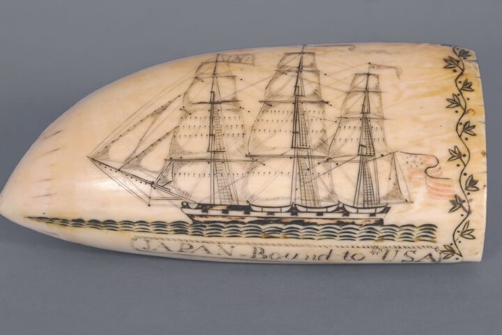 τέχνη scrimshaw