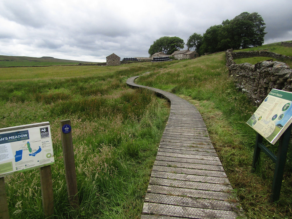 Hannah's Meadow- Πηγή εικόνας: www.northeastfamilyadventures.com