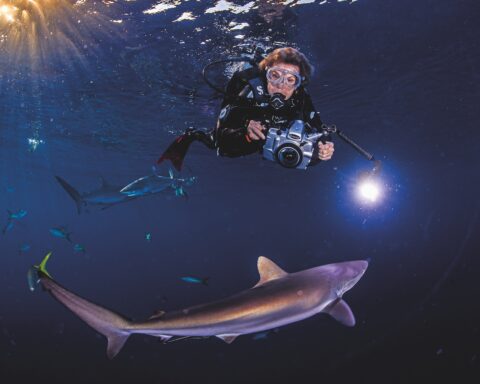 Sylvia Earle