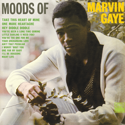 Marvin Gaye
