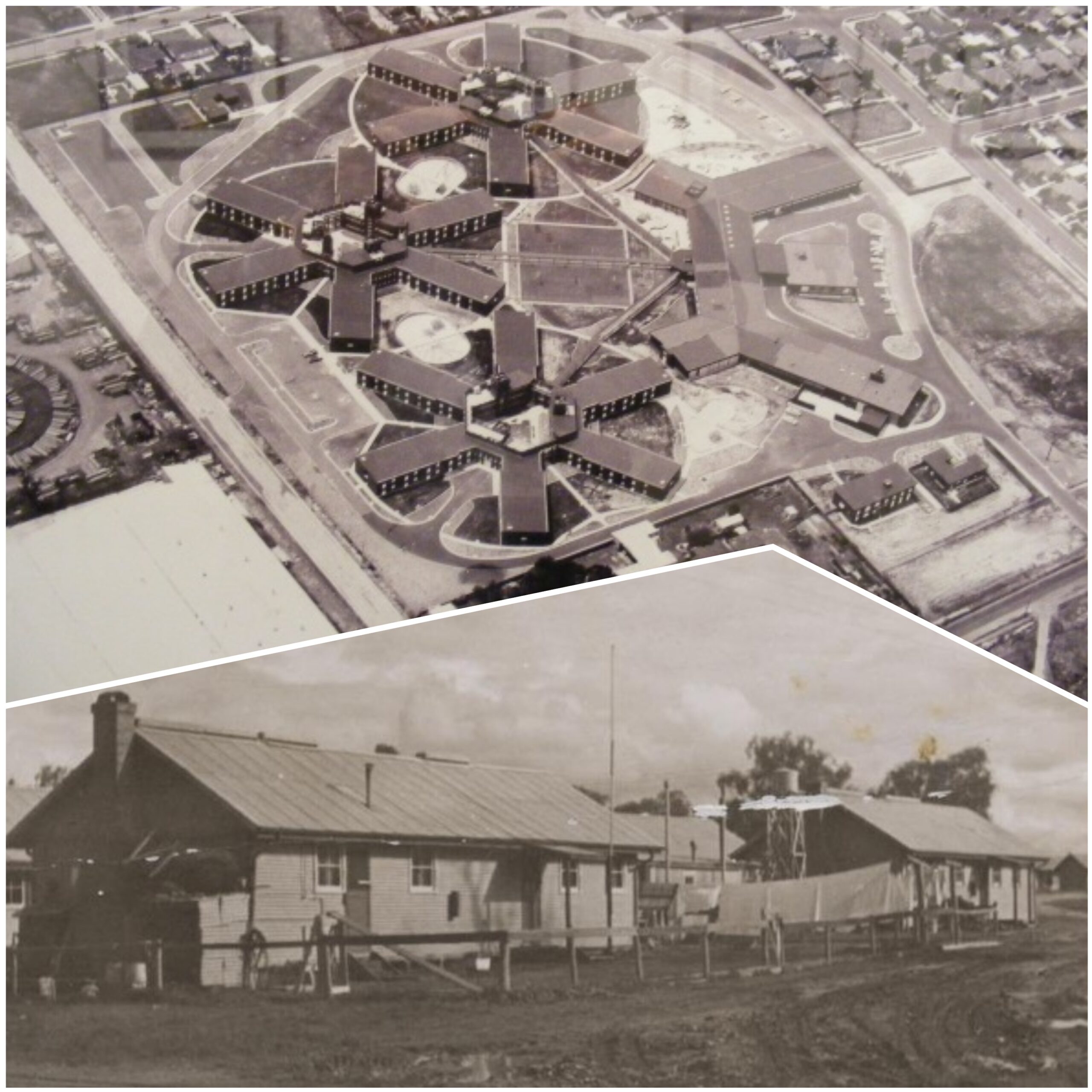 To campus του υποδοχής και κράτησης στη Μπονεγκίλα της Αυστραλίας | Πηγή Εικόνας: Charles Sturt University