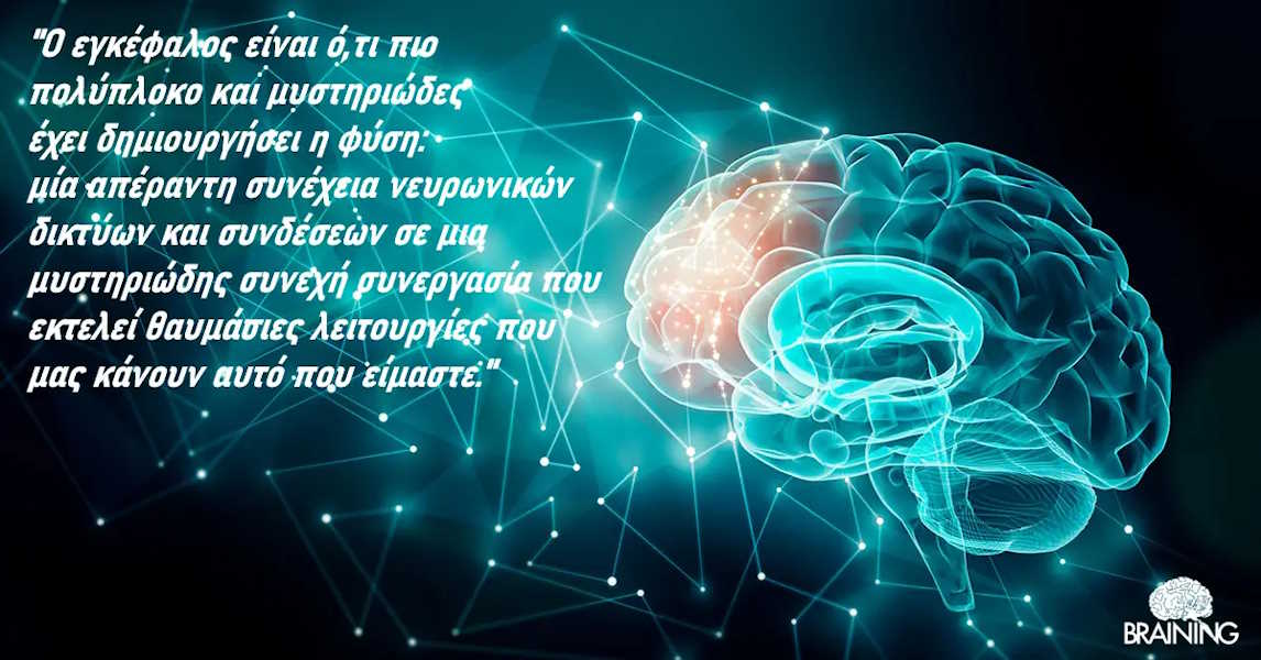 https://www.google.com/search?vsrid=CPaNjbqhqNXT7wEQAhgBIiQ3ZWMzYjZmZS05Y2FiLTQyODEtODcxNS1hYjFlY2MzMDQ2MTAyeiICbHUoEkJyCi5sZmUtZHVtbXk6NjhjNzIxYTItMDRjOC00MTAwLTkwNmEtNDY0ZWIyOGVhZWQzEkAKPi9ibnMvbHUvYm9yZy9sdS9ibnMvbGVucy1mcm9udGVuZC1hcGkvcHJvZC5sZW5zLWZyb250ZW5kLWFwaS82ON_Dma6zjJQD&vsint=CAIqDAoCCAcSAggKGAEgATojChYNAAAAPxUAAAA_HQAAgD8lAACAPzABELYCGKIBJQAAgD8&udm=26&lns_mode=un&source=lns.web.gisivli&vsdim=310,162&gsessionid=i2oEUjje_mY62C1p7xbJAeqKBoTUiCMY3p43S9mlnBp-CRiBHYrJew&lsessionid=9VgChEYHiJQ6rVvJitKWc5el3cVn-eAOwO6Ctvwe0U0GLEeUFt9KTQ&lns_surface=19&authuser=0&lns_vfs=e&qsubts=1777236894112&biw=1397&bih=621&ved=0CBgQh6cGahcKEwjIpPmis4yUAxUAAAAAHQAAAAAQBQ&tbnid=U7RAx2R1J_5R-M&ictx=2