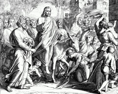 Μετά βαΐων και κλάδων