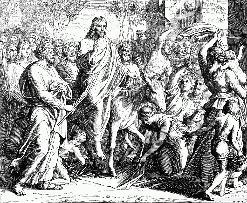 Μετά βαΐων και κλάδων